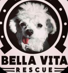 Bella Vita Donation
